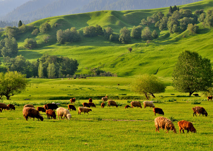 新疆旅遊最佳時間