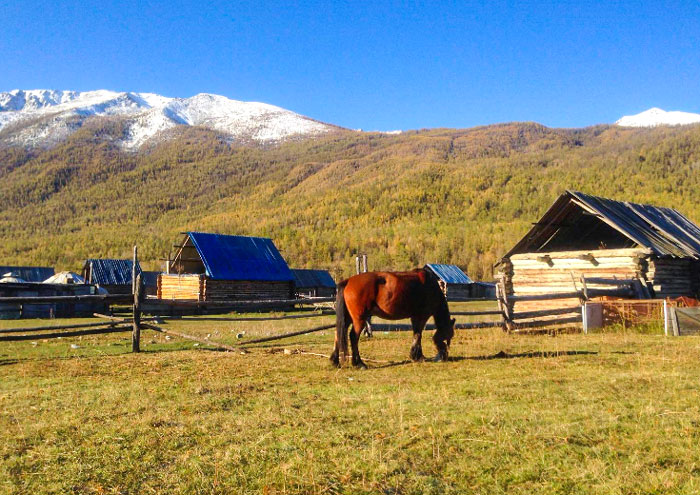 賈登峪國家森林公園
