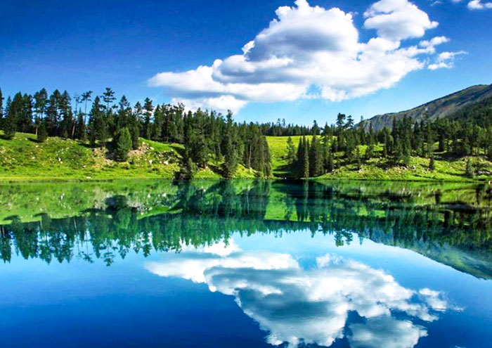 賈登峪國家森林公園