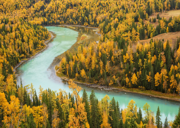 喀納斯月亮灣秋色
