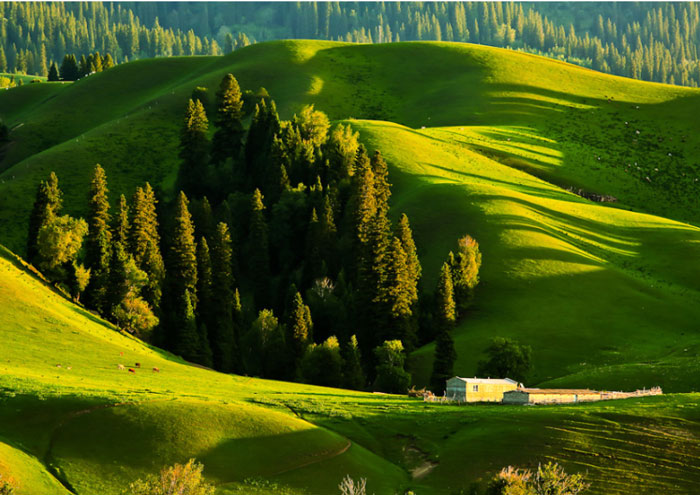 那拉提河谷草原