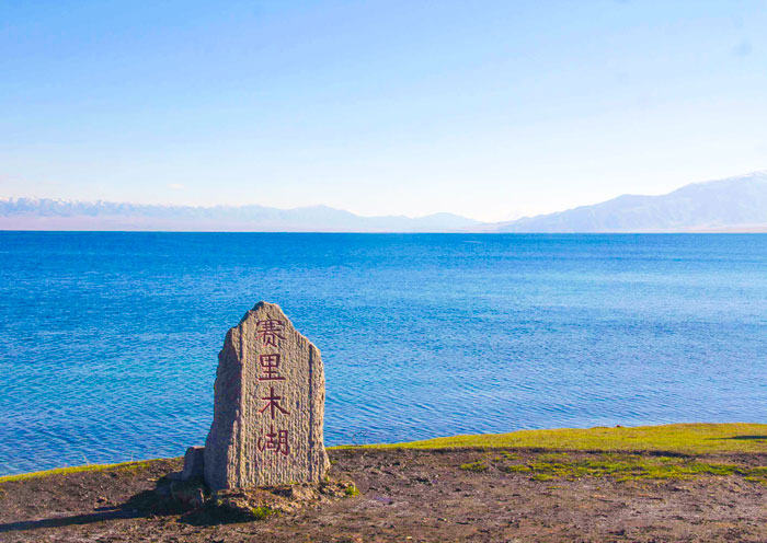 賽里木湖湖畔開滿花