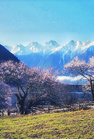 成都到林芝進藏航班
