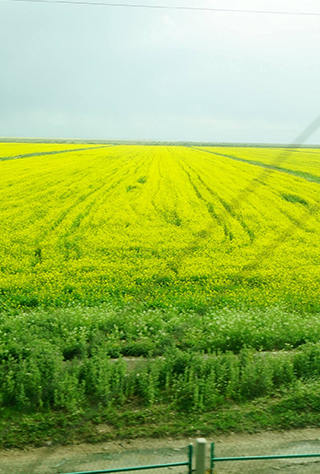 廣州到拉薩火車進藏指南