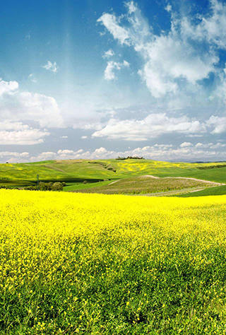 日喀則到重慶出藏航班