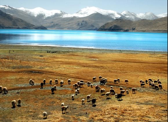 拉萨租车反走川藏线