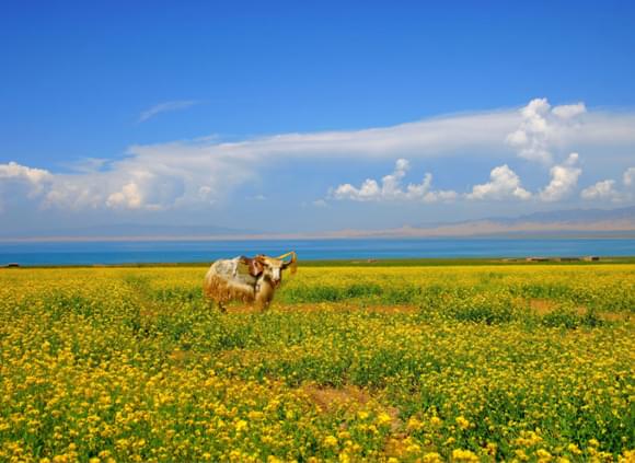 一個人也可以辦理入藏函嗎