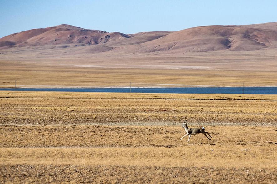 納木錯遊玩2天住宿哪裡，條件怎麼樣？