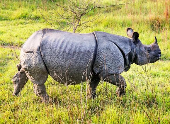 拼團不足6人會被取消嗎