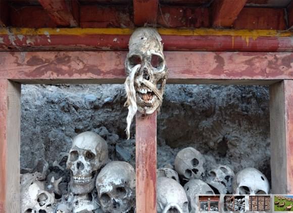 旅遊途中高反，導遊會處理嗎？