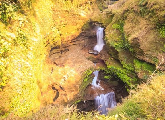 林芝桃花節的最佳觀賞時間和地點