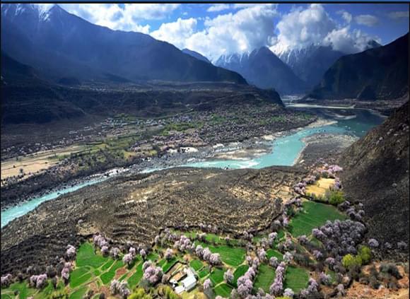 旅途中身體出現嚴重不適，請問你們怎麼處理