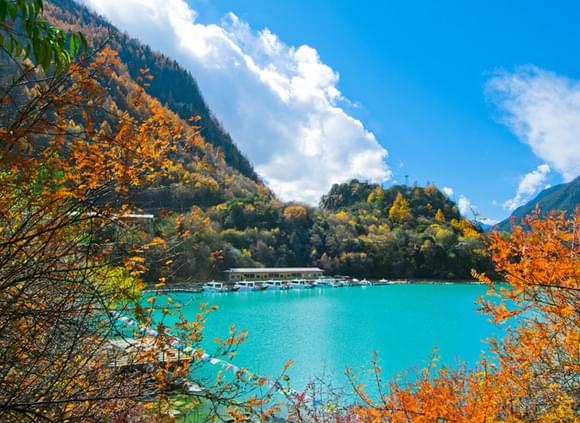 青藏火車的硬臥車廂與軟臥車廂有什麼區別？