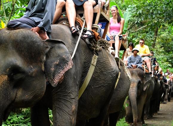 火車上可以充電嗎？如果手機和電腦沒電要怎麼辦？