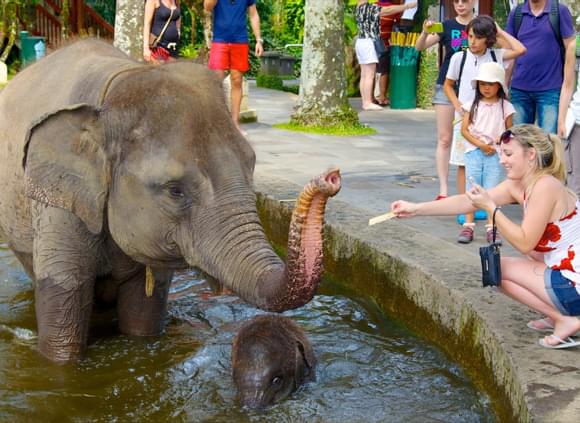 青藏火車上有隨行醫生嗎？火車上出現嚴重的高原反應怎麼辦？