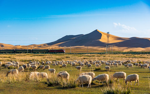 【重慶火車進藏】重慶拉薩日喀則珠峰大本營吉隆10日遊