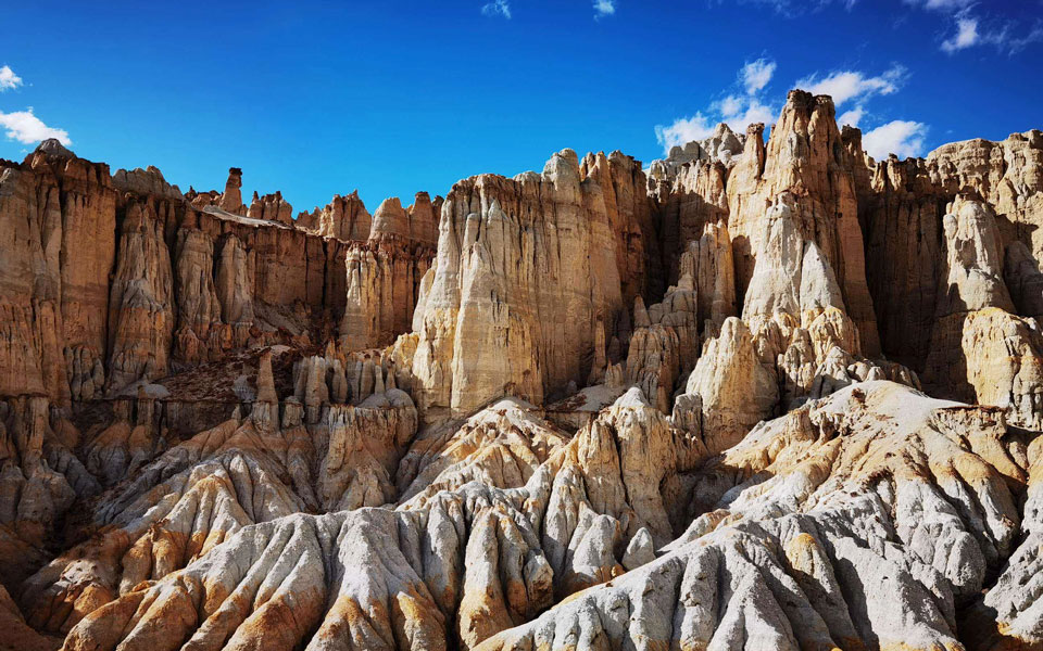 16天冈仁波齐转山之旅+古格王朝（含成都）