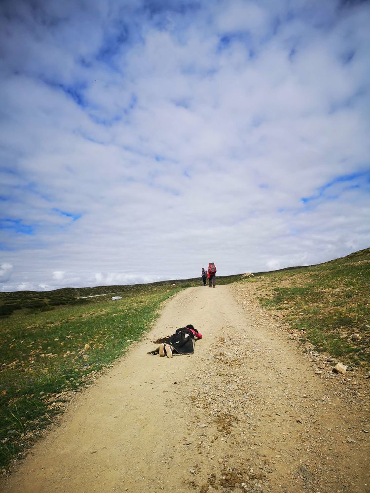 岡仁波齊徒步轉山心得體驗