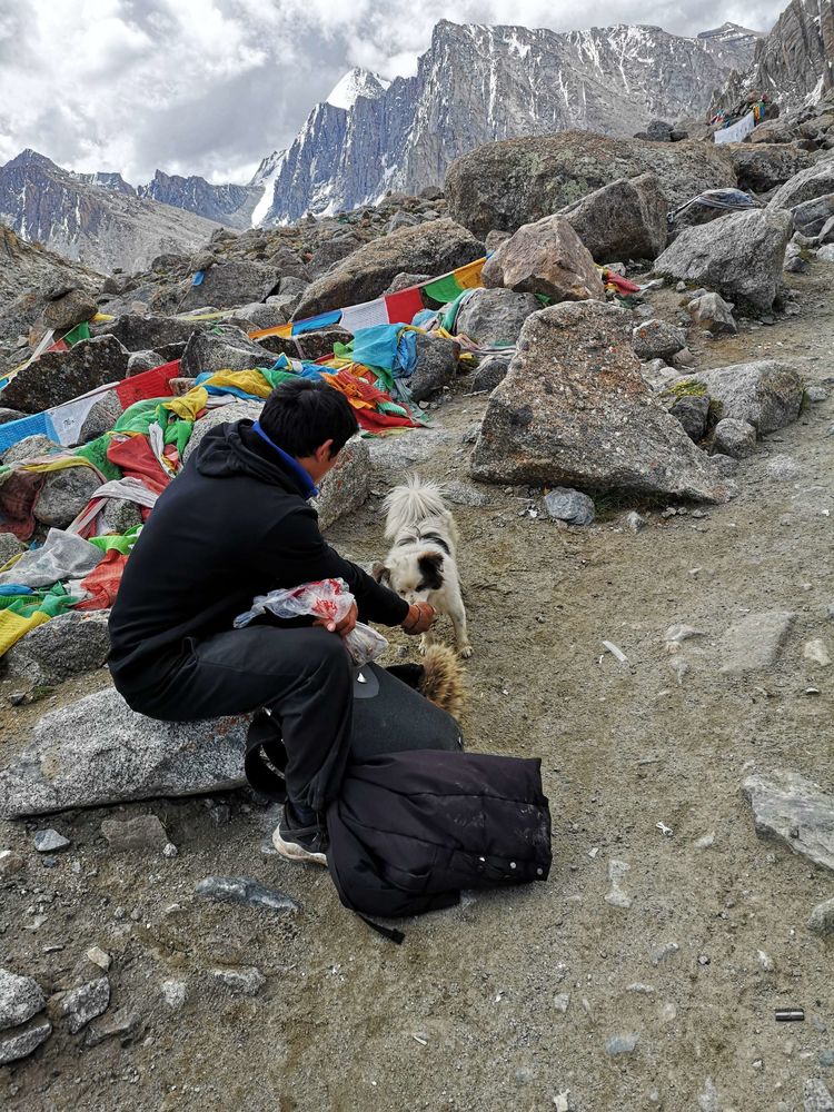 岡仁波齊徒步轉山心得體驗