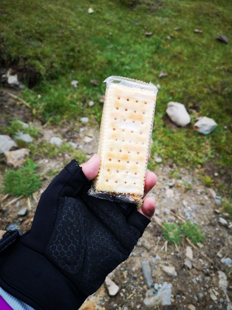 岡仁波齊徒步轉山心得體驗