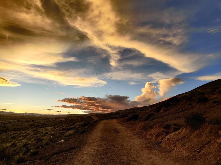 岡仁波齊徒步轉山心得體驗