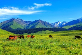 新疆旅遊攻略-行李準備篇