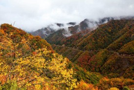 林芝10月份天氣概況