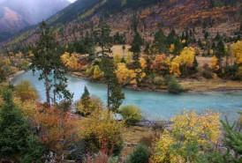 西藏近年氣候變化