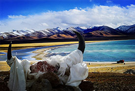 阿里岡仁波齊轉山行李準備