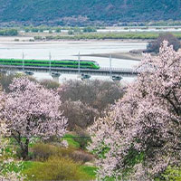 尼洋河沿岸