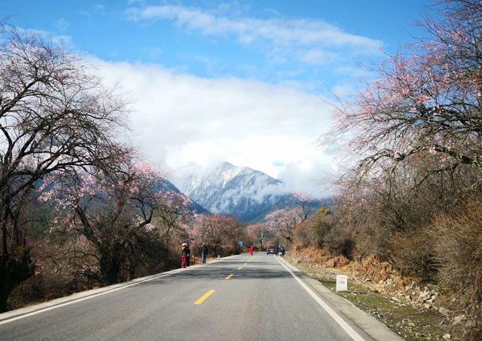 进藏交通火车还是飞机 进藏交通火车还是飞机