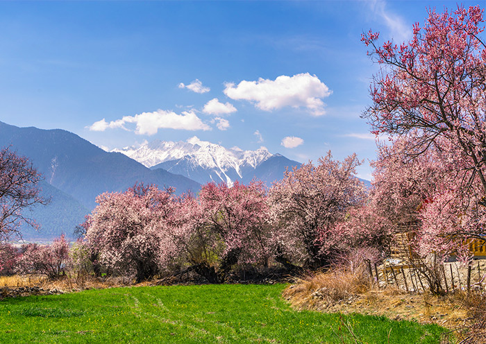 西藏旅遊最佳時間