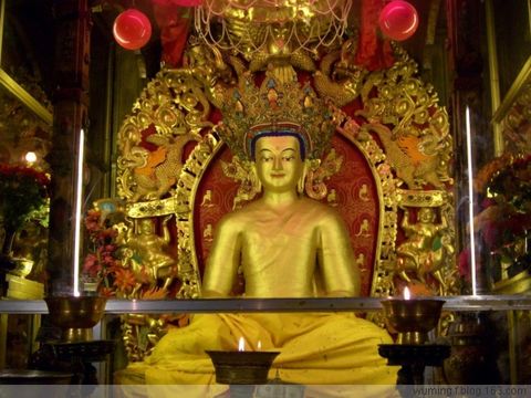 釋迦牟尼8 歲等身鍍金像