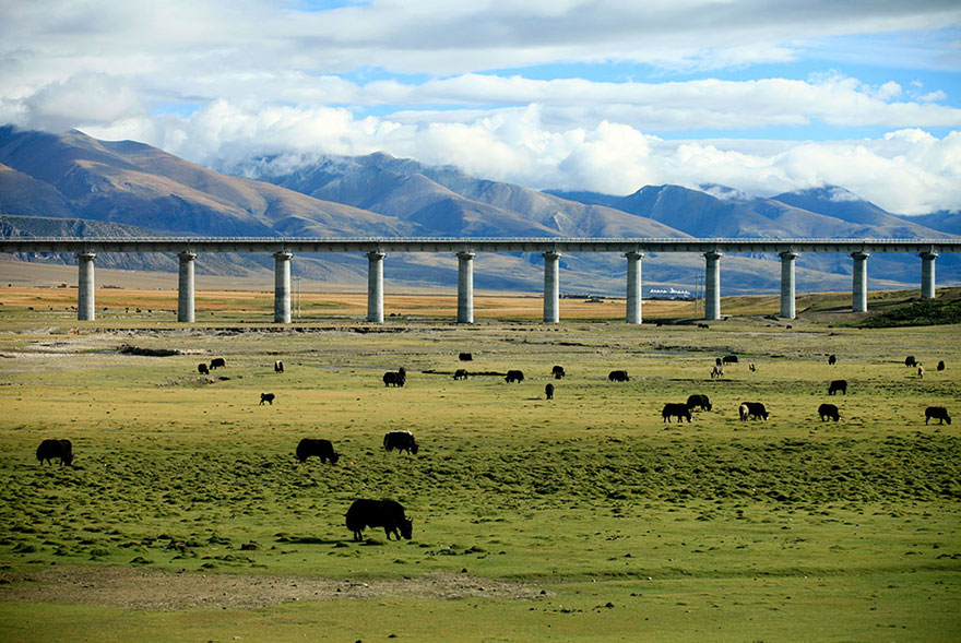 羌塘國家級自然保護區