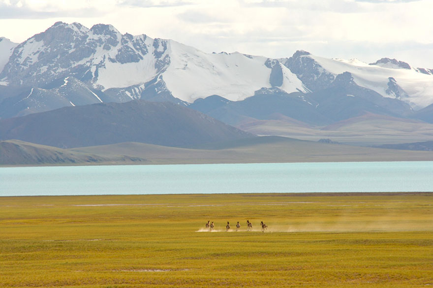 羌塘國家級自然保護區