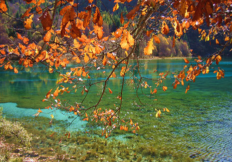 【深度】大九寨環線8日遊