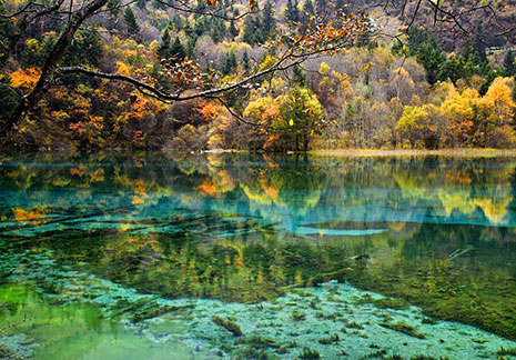【雙飛】九寨溝、黃龍雙飛3日遊