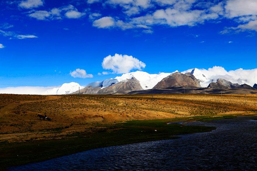 帕裡鎮優質草場