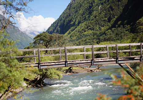 九寨溝-若爾蓋-花湖-九曲黃河-年保玉則安多遍地花開9日環綫