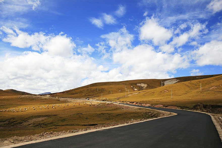 解放以後的西藏（下）