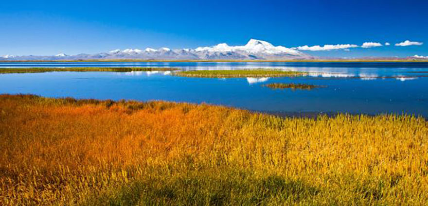 花團錦簇的亞東溝