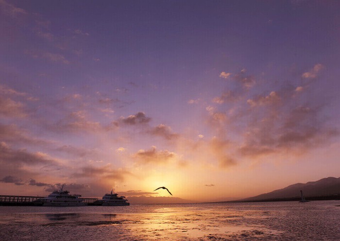 德令哈金色世界