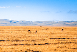 Fahrradtour in Tibet