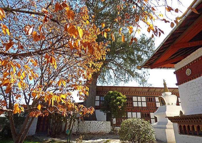 祈楚寺